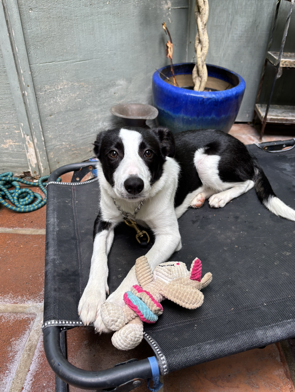 Screenshot 2025-10-06 at 8.07.29 AM